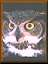 An33